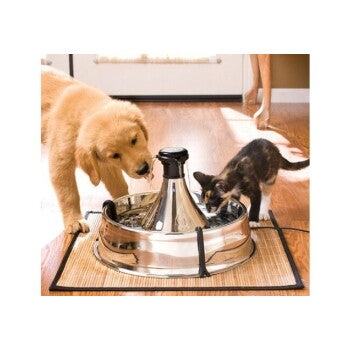 PetSafe Fontaine à eau Drinkwell en acier inoxydable 3,8 L - image 3