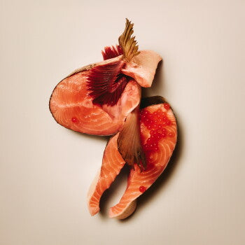 Carnilove Active Croquettes Chien Adulte Saumon & Dinde 12 kg - image 3