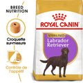ROYAL CANIN Labrador Adulte Stérilisé Croquettes Chien 12 kg - image 1