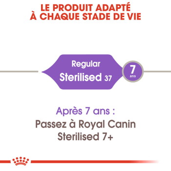 ROYAL CANIN Stérilisé 37 Croquettes Chat 10 kg - image 2