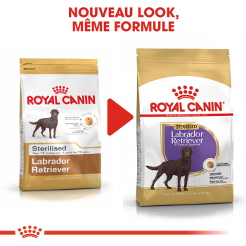 ROYAL CANIN Labrador Adulte Stérilisé Croquettes Chien 12 kg - image 3