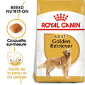 ROYAL CANIN Golden Retriever Adulte Croquettes Chien 12 kg - image 1