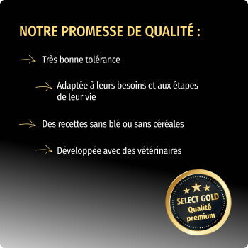 SELECT GOLD Complete Croquettes Chien Senior Maxi Poulet 12 kg - image 2