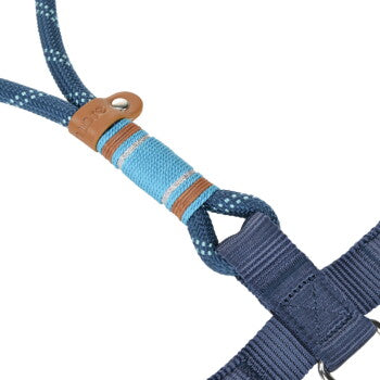 more LIFESTYLEPETS Harnais Chien Corde bleu M - image 3