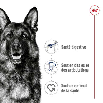 ROYAL CANIN Croquettes pour chien Maxi Adulte 15 kg - image 2