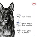 ROYAL CANIN Croquettes pour chien Maxi Adulte 15 kg - image 2