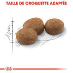 ROYAL CANIN Stérilisé 37 Croquettes Chat 10 kg - image 3
