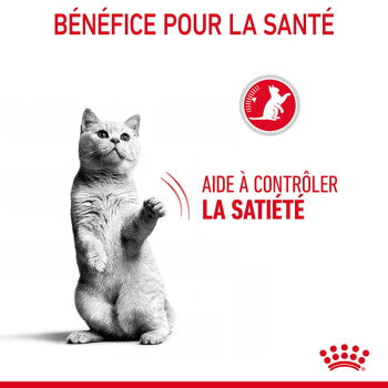 ROYAL CANIN Appetite Control Care 10 kg - image 3