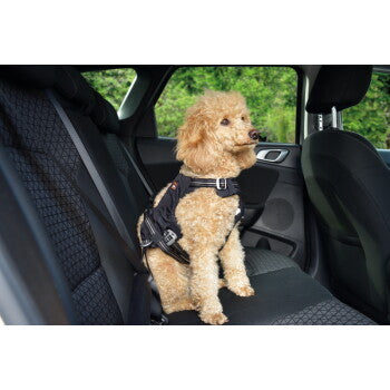 Dogs Creek Harnais de sécurité pour voiture Renegade S - image 2