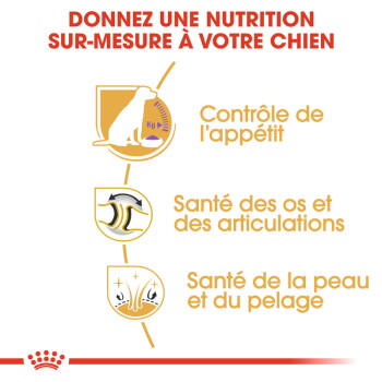 ROYAL CANIN Labrador Adulte Stérilisé Croquettes Chien 12 kg - image 2