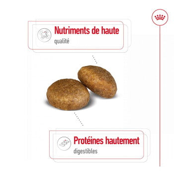 ROYAL CANIN Croquettes pour chien Maxi Adulte 15 kg - image 3