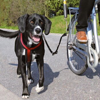 Trixie Set de vélo pour chien - image 1
