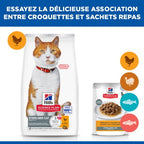 Hill's Science Plan Croquettes pour chat, Adulte, Stérilisé Avec du poulet 10 kg - image 3