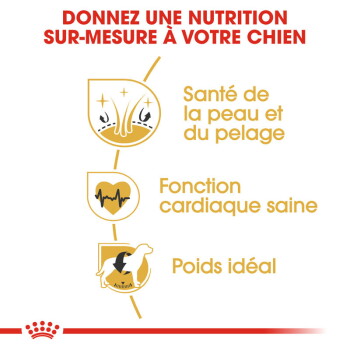 ROYAL CANIN Golden Retriever Adulte Croquettes Chien 12 kg - image 2