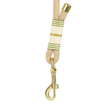 more LIFESTYLEPETS Laisse Réglable Chien Corde S-L beige - image 2