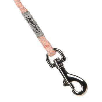 AniOne Laisse Pepe&Kitty abricot XS–S - image 2