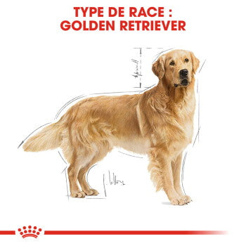 ROYAL CANIN Golden Retriever Adulte Croquettes Chien 12 kg - image 3