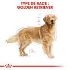 ROYAL CANIN Golden Retriever Adulte Croquettes Chien 12 kg - image 3