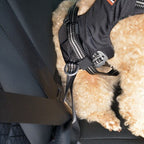 Dogs Creek Harnais de sécurité pour voiture Renegade S - image 3