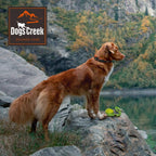 Dogs Creek Gourde Stream rouge 750 ml - image 2